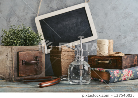 Gardening concept with rosemary plant and gardening tools Gardening concept with rosemary plant and gardening tools 127540023