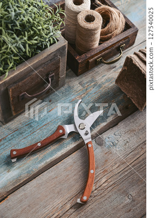 Stylish vintage pruning shear with wooden handles Stylish vintage pruning shear with wooden handles 127540025