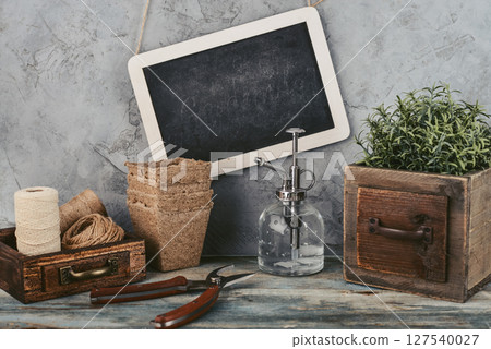 Gardening concept with rosemary plant and gardening tools Gardening concept with rosemary plant and gardening tools 127540027