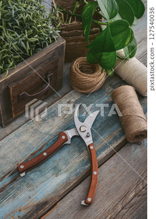 Stylish vintage pruning shear with wooden handles Stylish vintage pruning shear with wooden handles 127540036