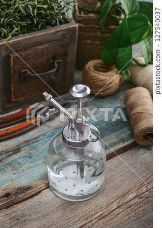 Vintage style spray bottle for plants Vintage style spray bottle for plants 127540037