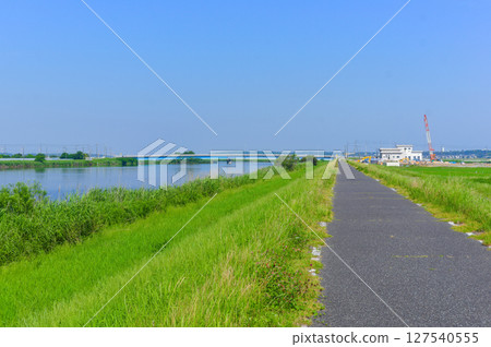 千葉縣我孫子市手賀川沿岸 2025年6月 127540555