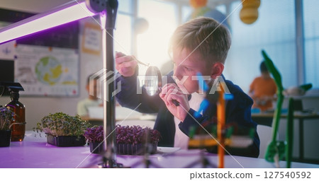Elementary School Boy Sitting at the Table and Using Smartphone, Growing Experimental Microgreens 127540592