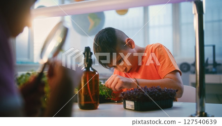 Elementary School Boy Growing Experimental Microgreens, Studying Biology in Classroom Elementary School Boy Growing Experimental Microgreens, Studying Biology in Classroom 127540639
