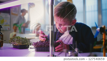 Elementary School Boy Sitting at the Table and Using Smartphone, Growing Experimental Microgreens 127540659