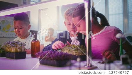 Elementary School Students Sitting at Table, Growing Experimental Microgreens, Using Tweezer Elementary School Students Sitting at Table, Growing Experimental Microgreens, Using Tweezer 127540767