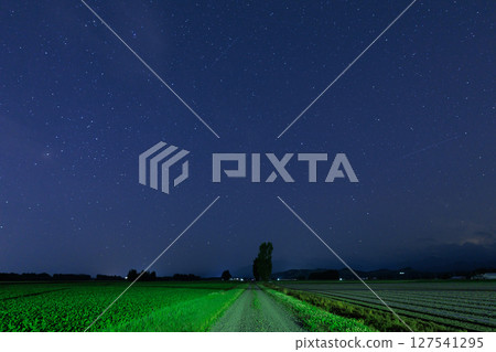 Stars and Fields 127541295