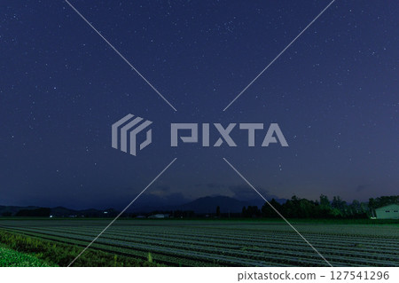 Stars and Fields 127541296