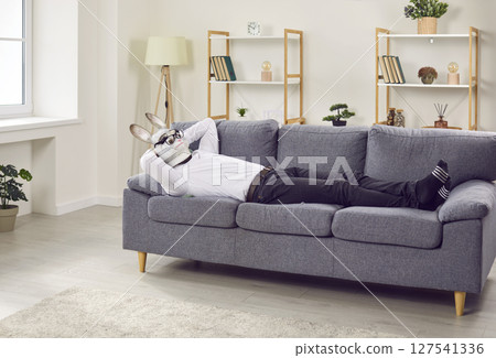 Tired business rabbit man enjoying weekend, lying on comfortable couch and sleeping Tired business rabbit man enjoying weekend, lying on comfortable couch and sleeping 127541336