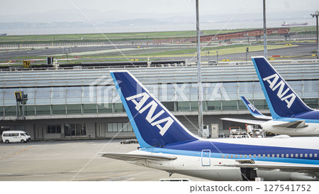 Two ANA tail planes and Haneda Airport Terminal 3 127541752