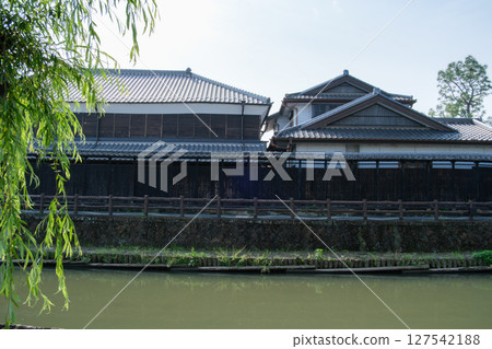 Willows and promenade 127542188