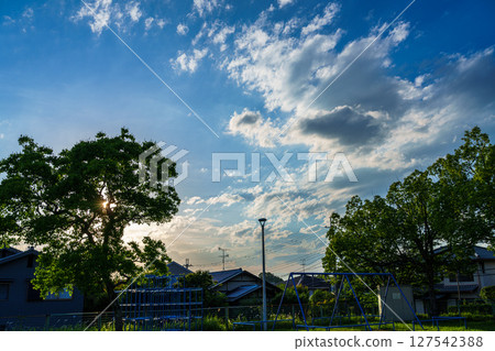夕陽透過樹梢，夜空映照著公園，燈光璀璨。初夏的奈良市，黃昏時分。 127542388
