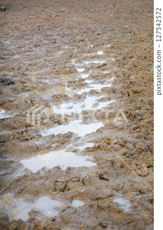 Mud Puddles on Dry Terrain with Beautiful Reflections Across the Surface 127542572