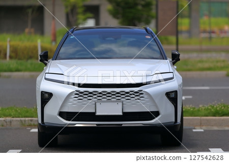 Domestic SUV vehicle 127542628