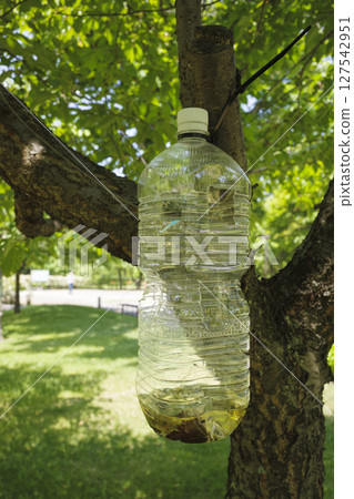 黃蜂陷阱 黃蜂陷阱 127542951