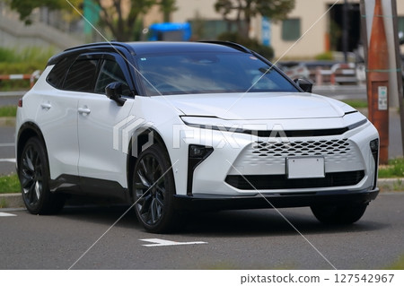 國產SUV車型 127542967