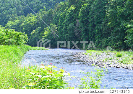 The clear stream of the Omoi River, a view near Awano Comprehensive Athletic Park, Kanuma City The clear stream of the Omoi River, a view near Awano Comprehensive Athletic Park, Kanuma City 127543145