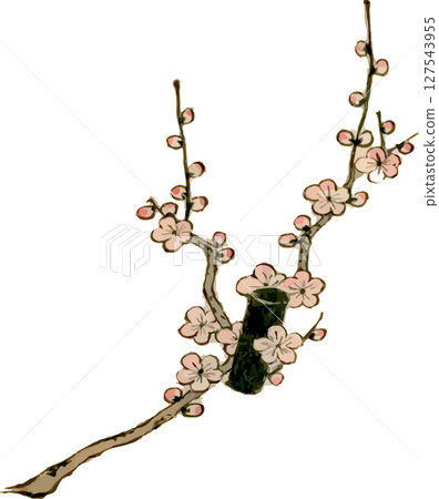 Plum branch kabuki props material 127543955