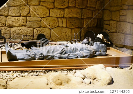 8003 Shogunyama Tomb, main chamber 127544205