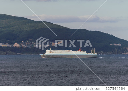 [Tokyo Kyushu Ferry is bound for Mayu Shinmoji, sailing off the coast of Tosashimizu, a RORO ship] 127544264