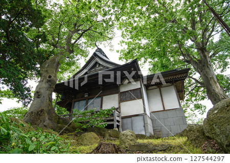 愛宕神社的岩質天然櫸樹林,山形縣天然紀念物 愛宕神社的岩質天然櫸樹林,山形縣天然紀念物 127544297