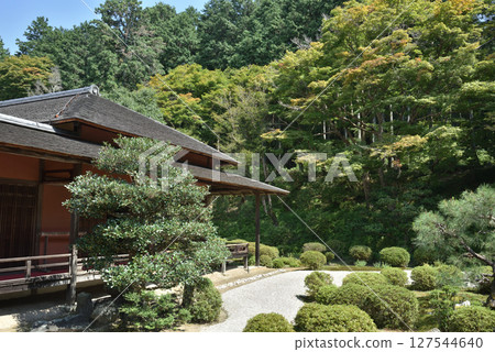 Manshuin Temple: View of the small study and Kamejima Garden from the large study (Sakyo Ward, Kyoto City) 127544640