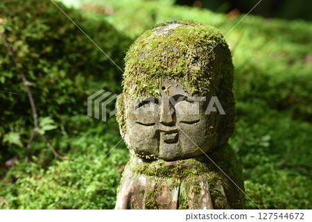 京都市大原三千院的大花地藏（京都市左京區） 127544672