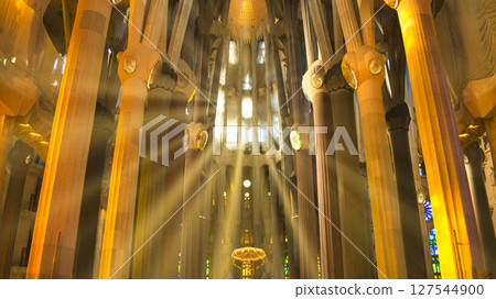 The gorgeous interior of Barcelona's Sagrada Familia 127544900