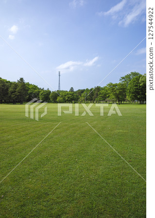 草地和藍天背景 127544922