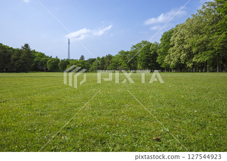 Meadow and blue sky background 127544923