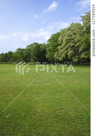Meadow and blue sky background 127544924