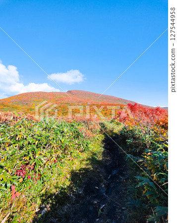 秋季攀登栗駒山（栗駒山～益嶽山：栗駒山眺望） 127544958