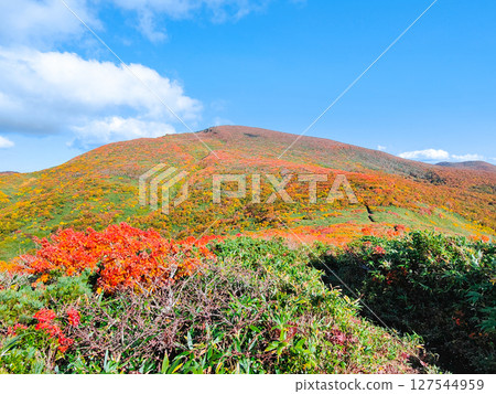 秋季攀登栗駒山(栗駒山~益嶽山:栗駒山眺望) 秋季攀登栗駒山(栗駒山~益嶽山:栗駒山眺望) 127544959
