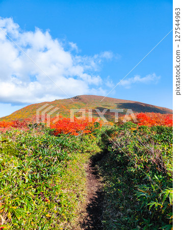 秋季攀登栗駒山（栗駒山～益嶽山：栗駒山眺望） 127544963