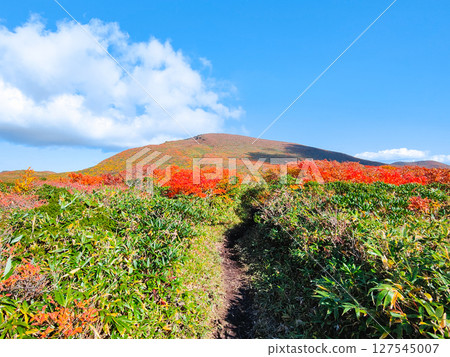 秋季攀登栗駒山（栗駒山～益嶽山：栗駒山眺望） 127545007