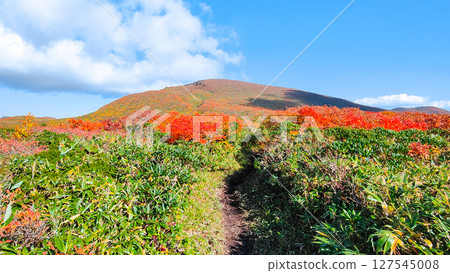 秋季攀登栗駒山(栗駒山~益嶽山:栗駒山眺望) 秋季攀登栗駒山(栗駒山~益嶽山:栗駒山眺望) 127545008