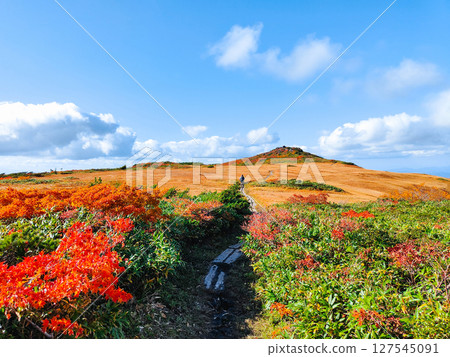 Climbing Mount Kurikoma in autumn (Mount Kurikoma - Mount Masutake: Shirogane Marshland) 127545091