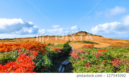 Climbing Mount Kurikoma in autumn (Mount Kurikoma - Mount Masutake: Shirogane Marshland) 127545092