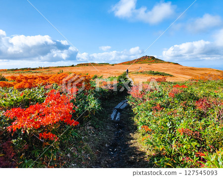 秋季攀登栗駒山（栗駒山～益嶽山：白金濕原） 127545093