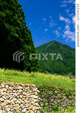Rice, Satoyama, forest, mountain Rice, Satoyama, forest, mountain 127545219