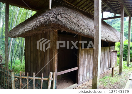 大中寺七大奇蹟：未被發現的雪隱寺 127545579