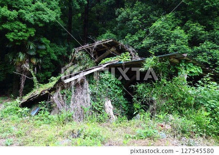 Ruins, Collapsed House 127545580