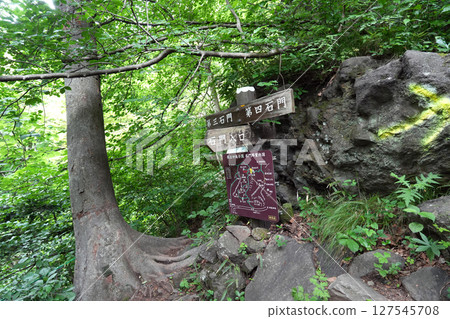 Myogi Mountain Stone Gate Tour, Gunma Prefecture 127545708