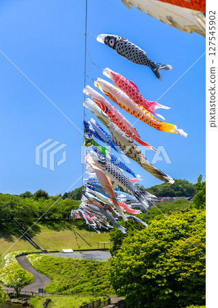Wakamiya Park: Carp streamers flying in the May sky (Atsugi City, Kanagawa Prefecture) 127545902