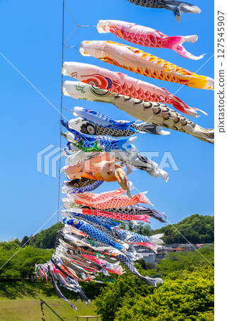 若宮公園：藍天下飄揚的鯉魚旗（神奈川縣厚木市） 127545907