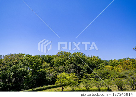 景觀與綠色 景觀與綠色 127545914