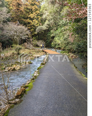 calcareous 127545963