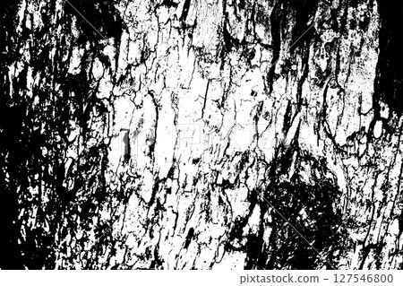 Tree bark texture background vector Tree bark texture background vector 127546800