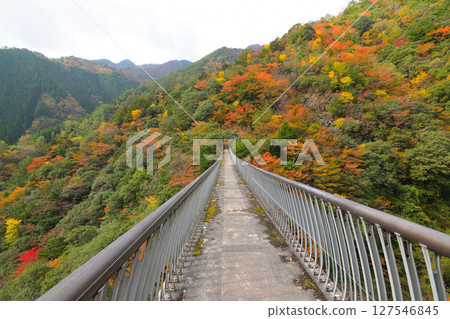 Autumn leaves of five villas Autumn leaves of five villas 127546845