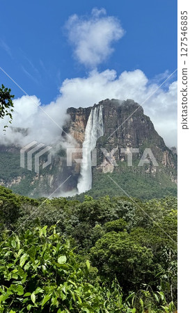 Angel Falls, the tallest waterfall in the world (vertical composition) Angel Falls, the tallest waterfall in the world (vertical composition) 127546885